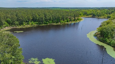 Exceptional Northeast Texas ranch featuring rolling elevation - photo 17
