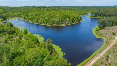 Exceptional Northeast Texas ranch featuring rolling elevation - photo 18