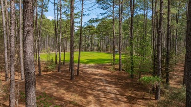 Exceptional Northeast Texas ranch featuring rolling elevation - photo 19