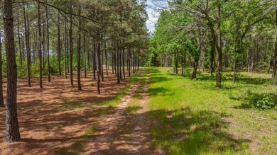 Exceptional Northeast Texas ranch featuring rolling elevation - photo 22