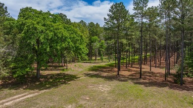 Exceptional Northeast Texas ranch featuring rolling elevation - photo 23