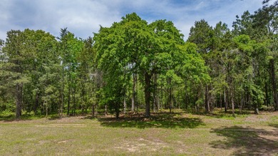 Exceptional Northeast Texas ranch featuring rolling elevation - photo 24