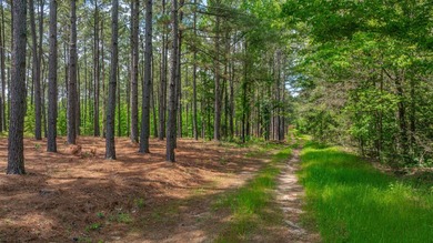 Exceptional Northeast Texas ranch featuring rolling elevation - photo 25
