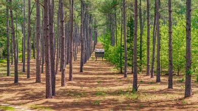 Exceptional Northeast Texas ranch featuring rolling elevation - photo 26