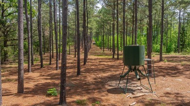 Exceptional Northeast Texas ranch featuring rolling elevation - photo 27