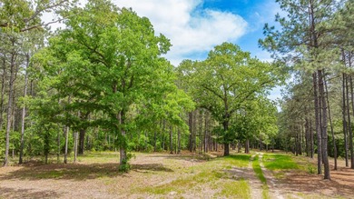 Exceptional Northeast Texas ranch featuring rolling elevation - photo 32