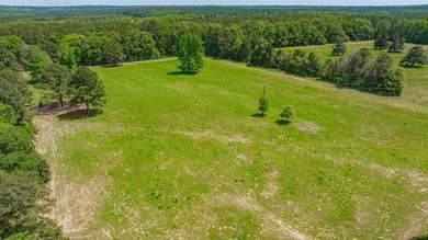 Exceptional Northeast Texas ranch featuring rolling elevation - photo 36