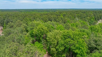 Exceptional Northeast Texas ranch featuring rolling elevation - photo 37