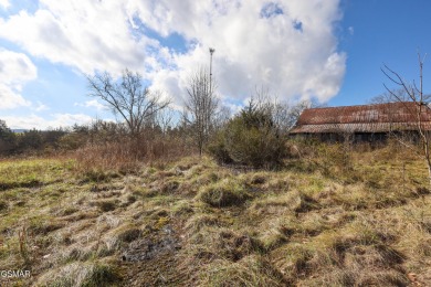 Norris Lake Acreage For Sale in La Follette Tennessee