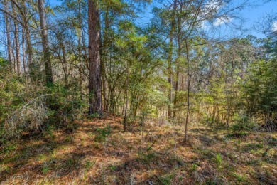 Waterfront Lot in Gated Lake Livingston Community. - photo 18