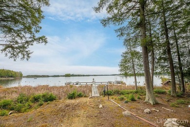 CISCO LAKE CHAIN- 395 feet of shared frontage on Big Lake; a 771 - photo 3