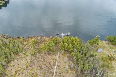 CISCO LAKE CHAIN- 395 feet of shared frontage on Big Lake; a 771 - photo 5