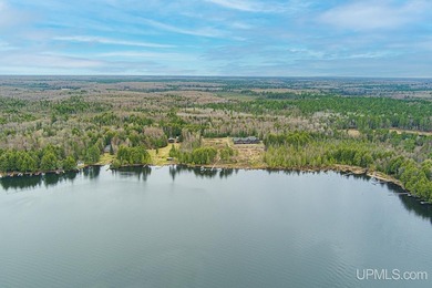 CISCO LAKE CHAIN- 395 feet of shared frontage on Big Lake; a 771 - photo 7