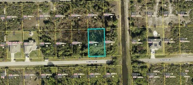 Lehigh Acres Area Lot For Sale in Lehigh Acres Florida