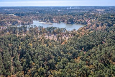 Looking for the perfect spot to build your East Texas retreat? - photo 12