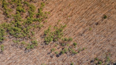 Welcome to the crown jewel of Arkansas-Boxley Valley in the - photo 17
