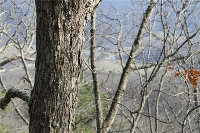 Welcome to the crown jewel of Arkansas-Boxley Valley in the - photo 29