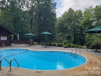 Turnkey Mountain Retreat - Fully Furnished and Ready to Enjoy! - photo 29