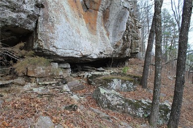 Welcome to the crown jewel of Arkansas-Boxley Valley in the - photo 35