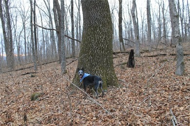 Welcome to the crown jewel of Arkansas-Boxley Valley in the - photo 40