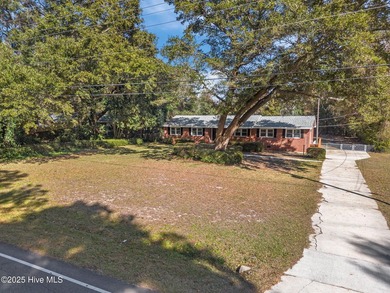 Coastal Charm Meets Timeless Brick Beauty in Porters Neck - - photo 46