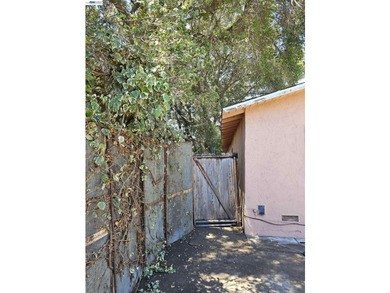 This East Palo Alto ranch-style home is a prime opportunity for - photo 49