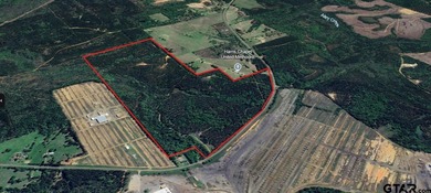 (private lake, pond, creek) Acreage For Sale in Hughes Springs Texas