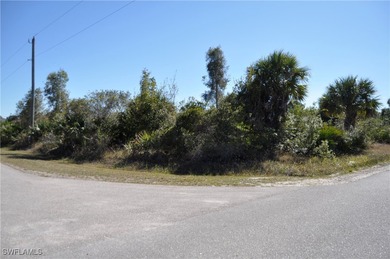 Lehigh Acres Area Lot For Sale in Lehigh Acres Florida