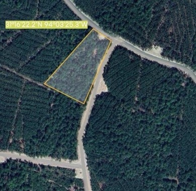 Lake Sam Rayburn  Acreage For Sale in Bronson Texas