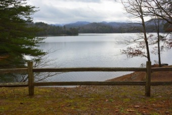 Splendid Lakefront Lifestyle - Lake Lot For Sale in Robbinsville, North Carolina