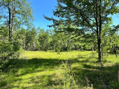 Lake Acreage For Sale in Wilmington, New York