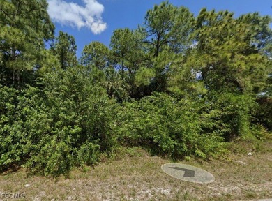 Lehigh Acres Area Lot For Sale in Lehigh Acres Florida