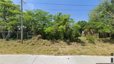 Lake Placid - Highland County Lot For Sale in Lake Placid Florida
