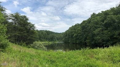 This beautiful land property consists of about 103.7 acres - photo 5