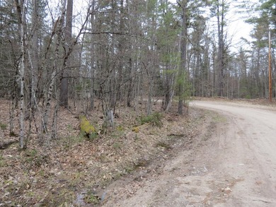 A great corner lot on the loop of Spruce land for your home or - photo 2