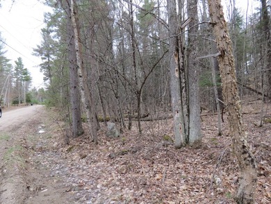 A great corner lot on the loop of Spruce land for your home or - photo 3