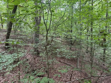 Roanoke Ridge! Located at the front side of Oak Hill, you can - photo 12