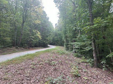 Roanoke Ridge! Located at the front side of Oak Hill, you can - photo 13