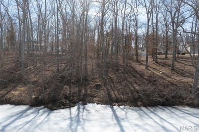 Deer Run Lake - Madison County Lot For Sale in Fredericktown Missouri