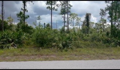 Lehigh Acres Area Lot For Sale in Lehigh Acres Florida