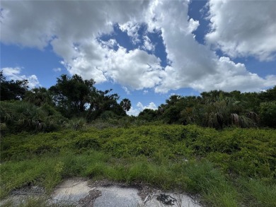Northport Waterway Lakes and Canals Lot For Sale in North Port Florida
