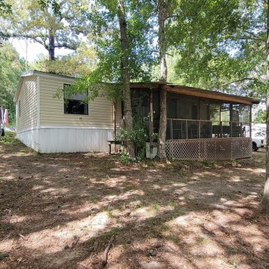 Lake Home For Sale in Abbeville, Alabama