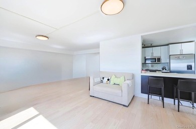 Experience luxury waterfront living in the heart of Battery Park - photo 6