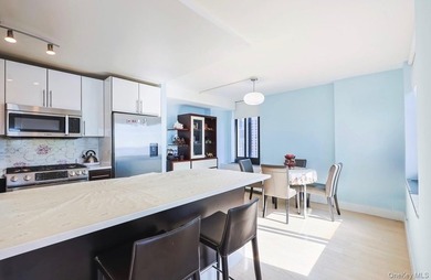 Experience luxury waterfront living in the heart of Battery Park - photo 9