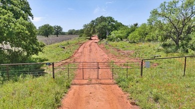 Red Lane Ranch is an excellent opportunity for cattle grazing - photo 3