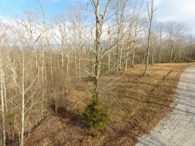 Beautiful 3/4 Acre Lake View Lake Cumberland Building Lot - photo 3
