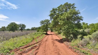 Red Lane Ranch is an excellent opportunity for cattle grazing - photo 4