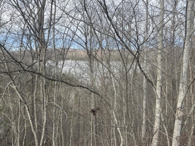 Beautiful 3/4 Acre Lake View Lake Cumberland Building Lot - photo 4
