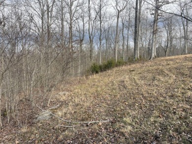 Beautiful 3/4 Acre Lake View Lake Cumberland Building Lot - photo 5