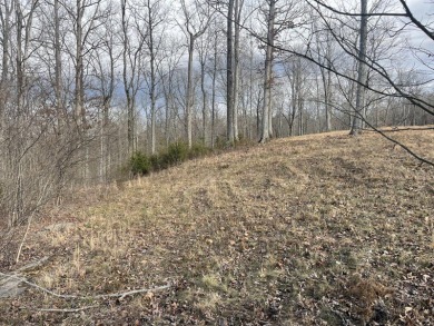 Beautiful 3/4 Acre Lake View Lake Cumberland Building Lot - photo 6